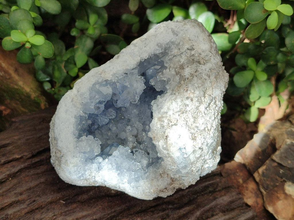 Natural Blue Celestite Geode Specimens x 2 From Sakoany, Madagascar - Toprock Gemstones and Minerals 