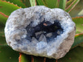 Natural Blue Celestite Geode Specimens x 2 From Sakoany, Madagascar - Toprock Gemstones and Minerals 