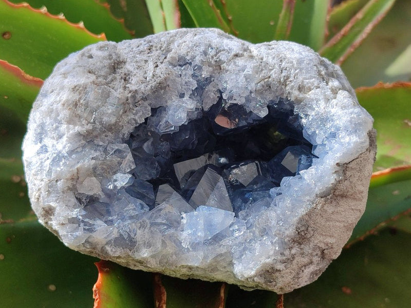 Natural Blue Celestite Geode Specimens x 2 From Sakoany, Madagascar - Toprock Gemstones and Minerals 