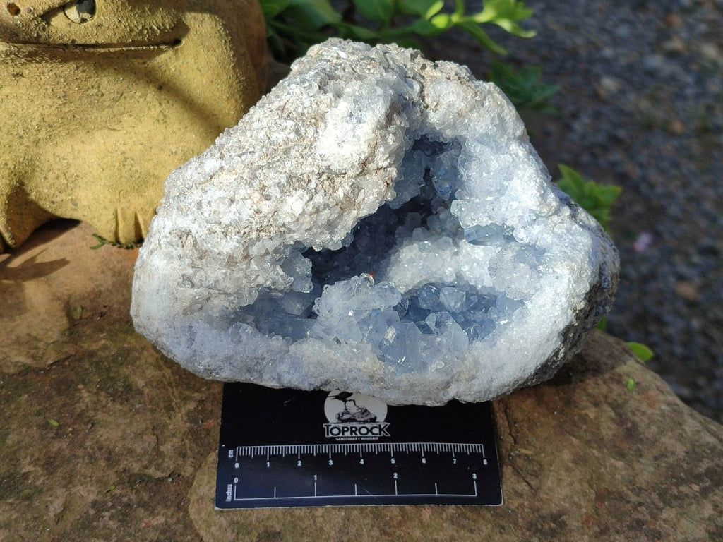 Natural Blue Celestite Geode Specimens x 2 From Sakoany, Madagascar - Toprock Gemstones and Minerals 