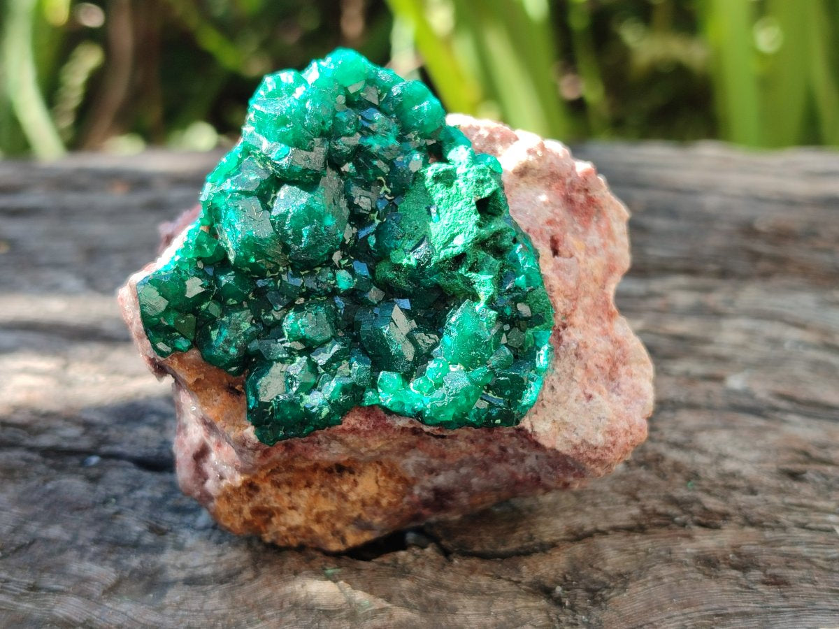 Natural Dioptase on Dolomite Specimens x 4 From Likasi, Congo - Toprock Gemstones and Minerals 