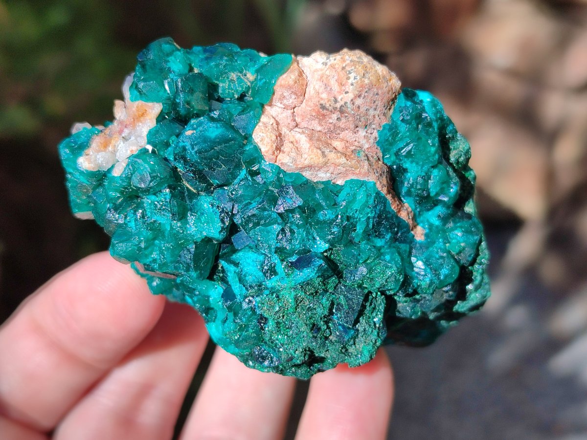 Natural Dioptase on Dolomite Specimens x 4 From Likasi, Congo - Toprock Gemstones and Minerals 