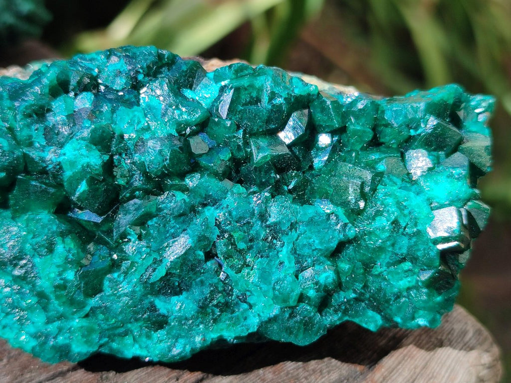 Natural Dioptase on Dolomite Specimens x 4 From Likasi, Congo - Toprock Gemstones and Minerals 