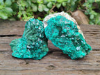 Natural Dioptase on Dolomite Specimens x 4 From Likasi, Congo - Toprock Gemstones and Minerals 
