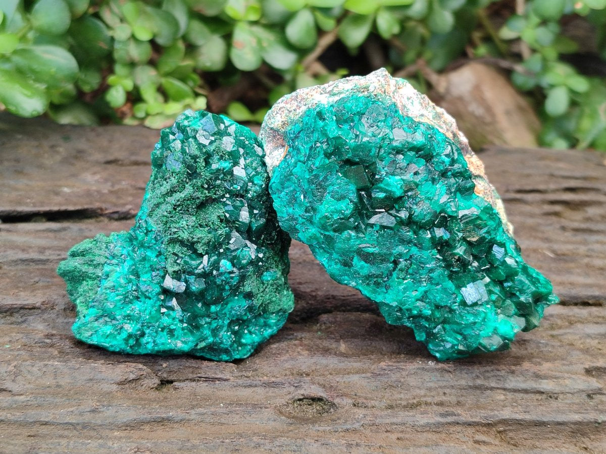 Natural Dioptase on Dolomite Specimens x 4 From Likasi, Congo - Toprock Gemstones and Minerals 