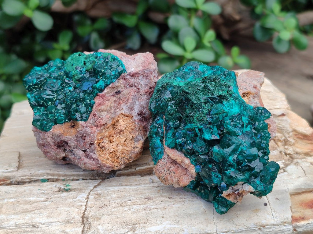 Natural Dioptase on Dolomite Specimens x 4 From Likasi, Congo - Toprock Gemstones and Minerals 