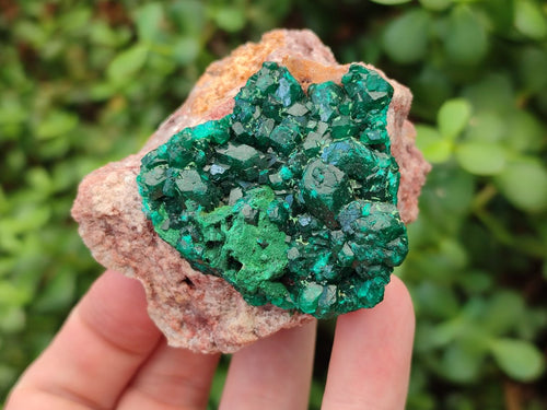Natural Dioptase on Dolomite Specimens x 4 From Likasi, Congo - Toprock Gemstones and Minerals 