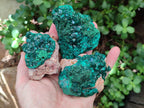 Natural Dioptase on Dolomite Specimens x 4 From Likasi, Congo - Toprock Gemstones and Minerals 