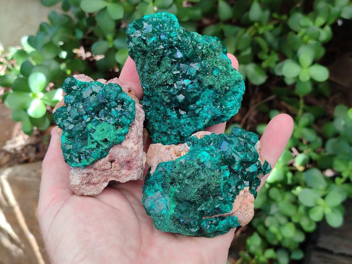 Natural Dioptase on Dolomite Specimens x 4 From Likasi, Congo - Toprock Gemstones and Minerals 