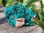 Natural Dioptase on Dolomite Specimens x 4 From Likasi, Congo - Toprock Gemstones and Minerals 