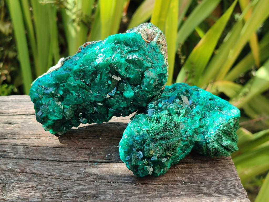 Natural Dioptase on Dolomite Specimens x 4 From Likasi, Congo - Toprock Gemstones and Minerals 