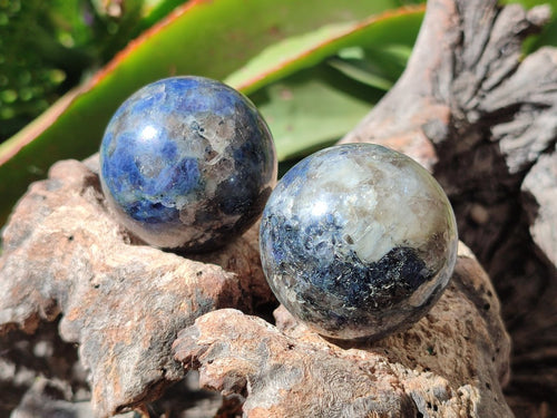 Polished Blue Iolite "Water Sapphire" Spheres x 15 From Madagascar - Toprock Gemstones and Minerals 