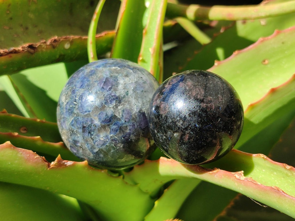 Polished Blue Iolite "Water Sapphire" Spheres x 15 From Madagascar - Toprock Gemstones and Minerals 