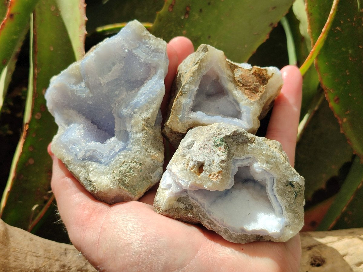 Natural Blue Lace Agate Geode Specimens x 12 From Nsanje, Malawi - Toprock Gemstones and Minerals 