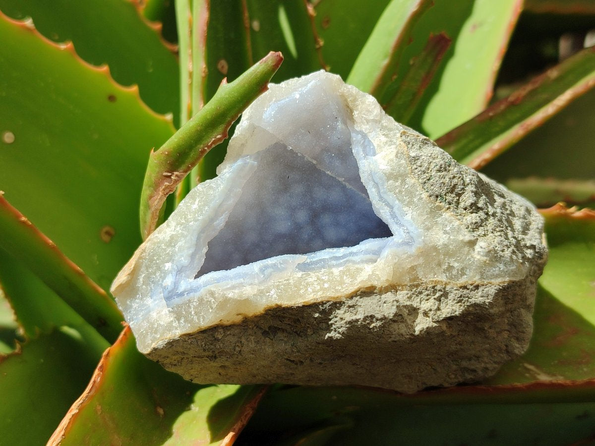 Natural Blue Lace Agate Geode Specimens x 12 From Nsanje, Malawi - Toprock Gemstones and Minerals 