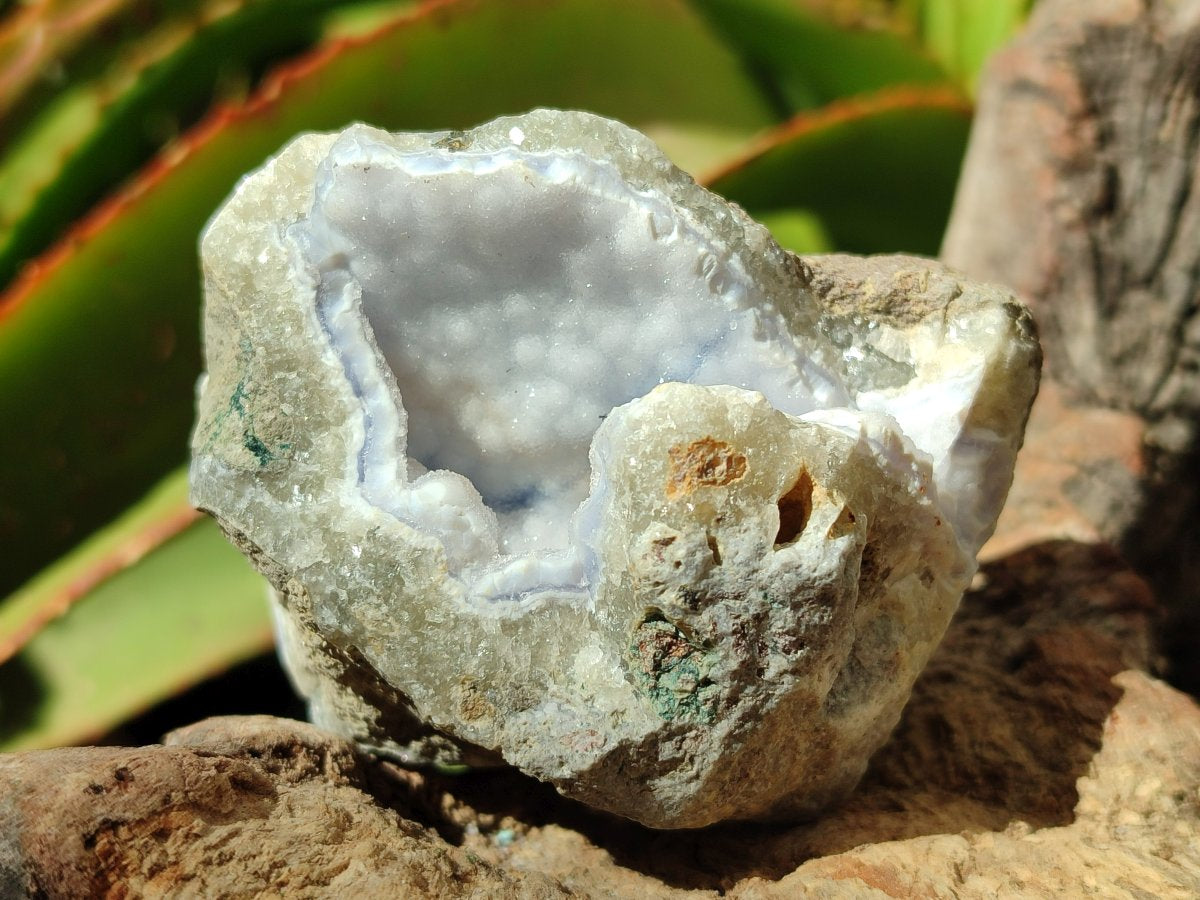 Natural Blue Lace Agate Geode Specimens x 12 From Nsanje, Malawi - Toprock Gemstones and Minerals 