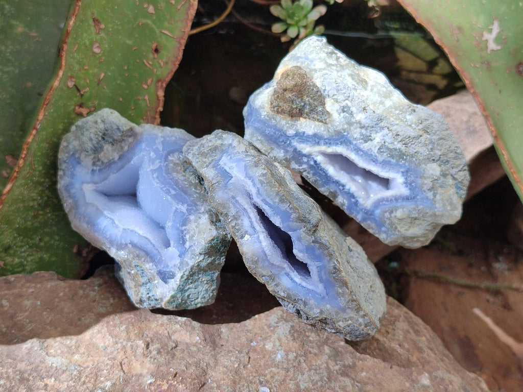 Natural Blue Lace Agate Geode Specimens x 12 From Nsanje, Malawi - Toprock Gemstones and Minerals 