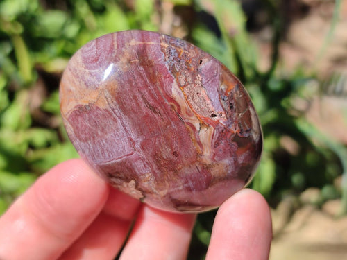 Polished Red Podocarpus Petrified Wood Palm Stones x 24 From Mahajanga, Madagascar - Toprock Gemstones and Minerals 