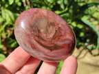 Polished Red Podocarpus Petrified Wood Palm Stones x 24 From Mahajanga, Madagascar - Toprock Gemstones and Minerals 