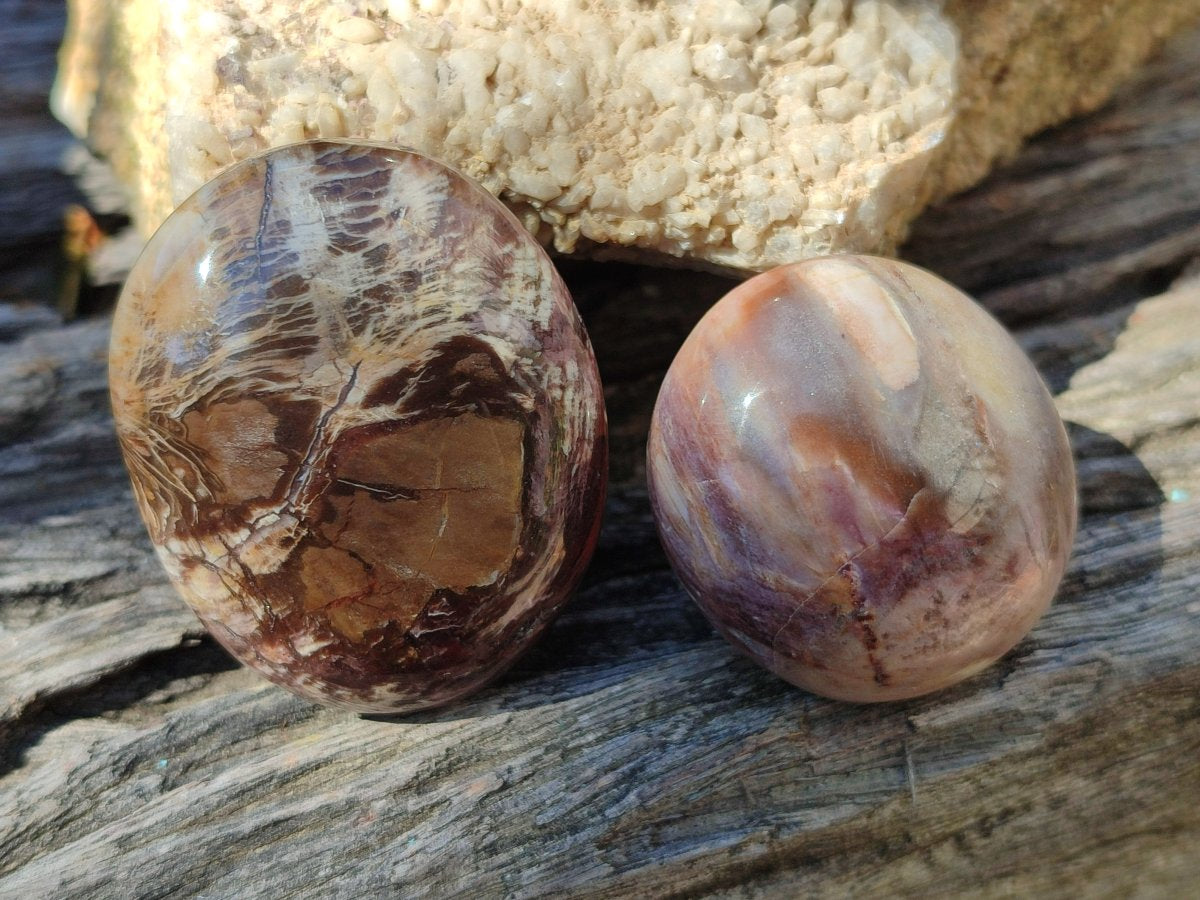 Polished Red Podocarpus Petrified Wood Palm Stones x 24 From Mahajanga, Madagascar - Toprock Gemstones and Minerals 