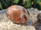 Polished Red Podocarpus Petrified Wood Palm Stones x 24 From Mahajanga, Madagascar - Toprock Gemstones and Minerals 