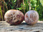 Polished Red Podocarpus Petrified Wood Palm Stones x 24 From Mahajanga, Madagascar - Toprock Gemstones and Minerals 