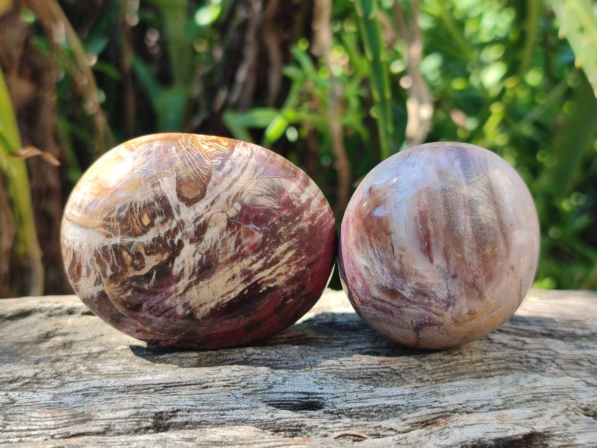 Polished Red Podocarpus Petrified Wood Palm Stones x 24 From Mahajanga, Madagascar - Toprock Gemstones and Minerals 