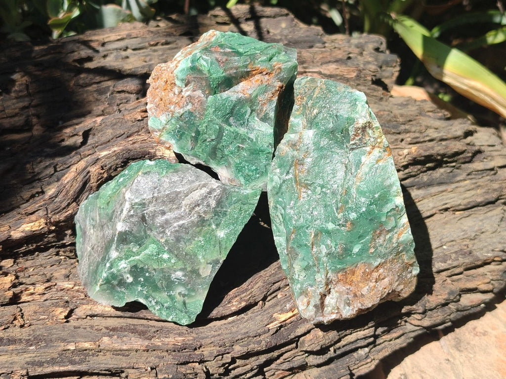 Natural Swazi Jade Cobbed Specimens x 12 From Swaziland - Toprock Gemstones and Minerals 