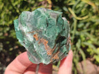 Natural Swazi Jade Cobbed Specimens x 12 From Swaziland - Toprock Gemstones and Minerals 