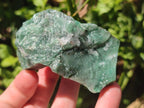 Natural Swazi Jade Cobbed Specimens x 12 From Swaziland - Toprock Gemstones and Minerals 