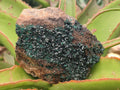 Natural Crystalline Malachite Specimens x 3 From Tenke Fungurume, Congo - Toprock Gemstones and Minerals 