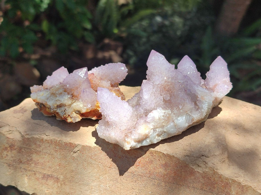 Natural Amethyst and Ametrine Spirit Clusters x 6 From Boekenhouthoek, South Africa