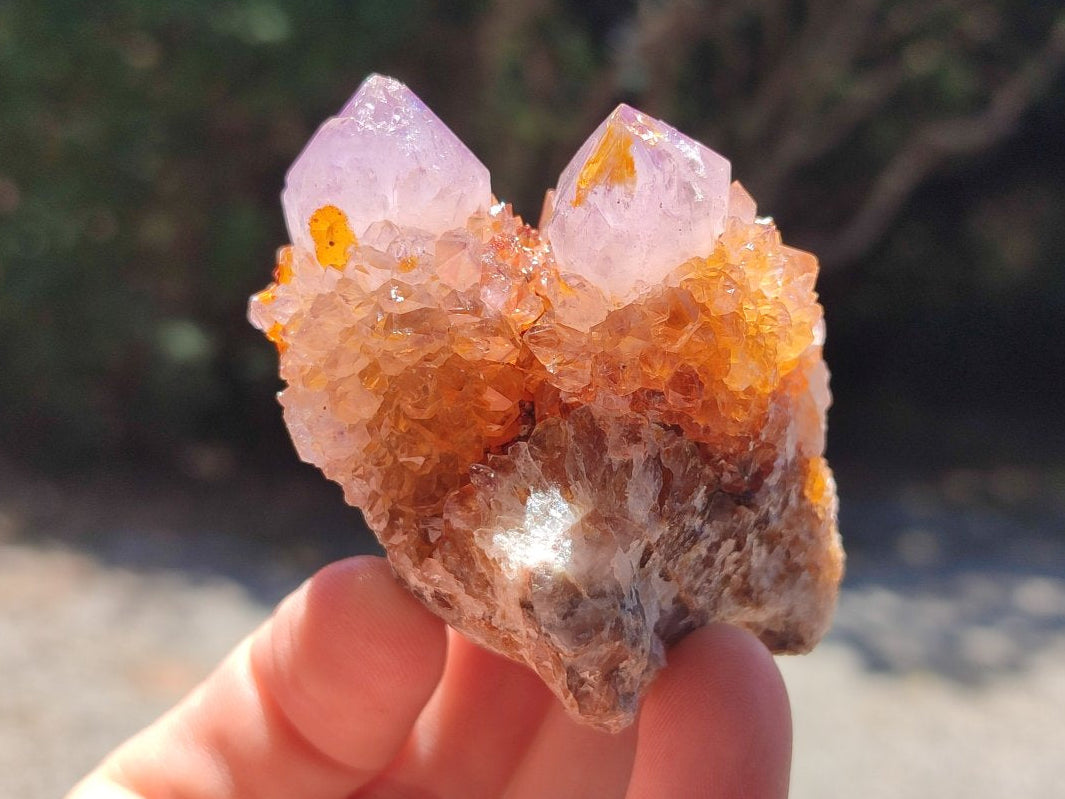 Natural Amethyst and Ametrine Spirit Clusters x 6 From Boekenhouthoek, South Africa
