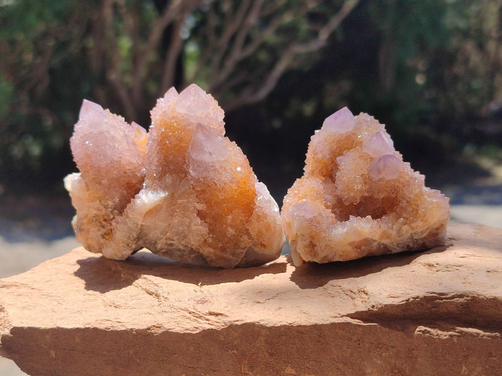 Natural Amethyst and Ametrine Spirit Clusters x 6 From Boekenhouthoek, South Africa