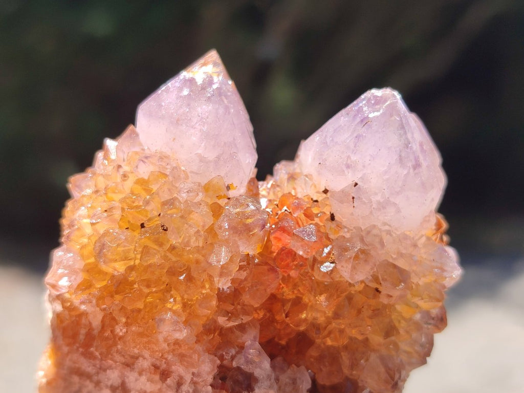 Natural Amethyst and Ametrine Spirit Clusters x 6 From Boekenhouthoek, South Africa