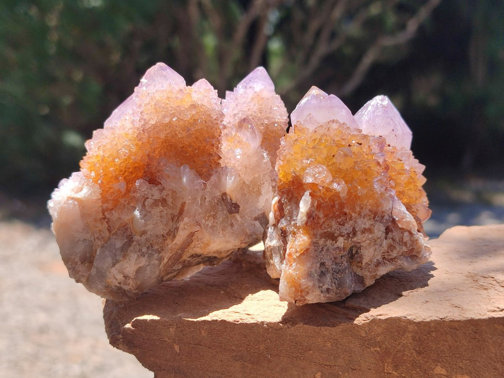 Natural Amethyst and Ametrine Spirit Clusters x 6 From Boekenhouthoek, South Africa