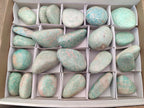 Polished Amazonite Palm Stones x 24 From Zimbabwe