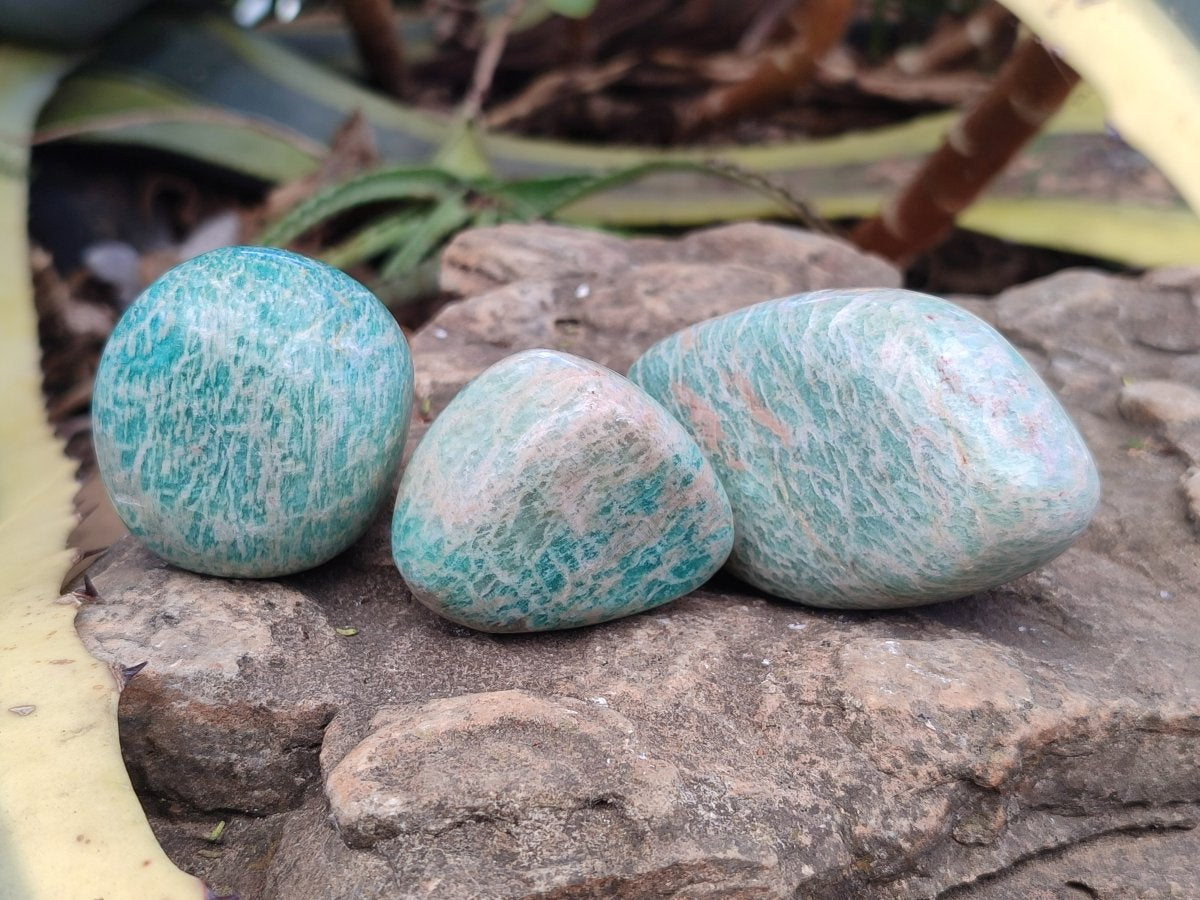 Polished Amazonite Palm Stones x 24 From Zimbabwe