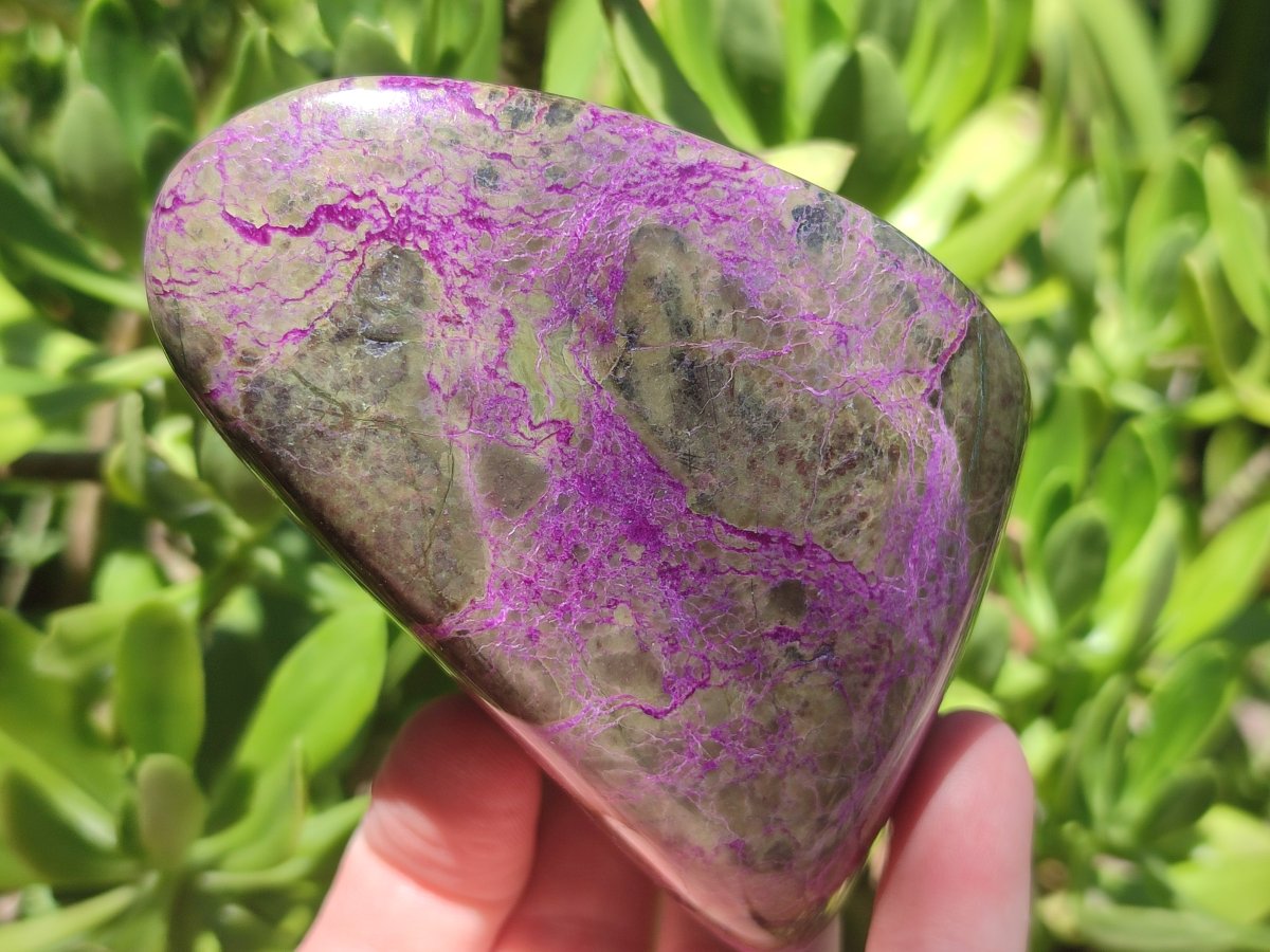 Polished Stichtite Standing Free Forms x 3 From Barberton, South Africa