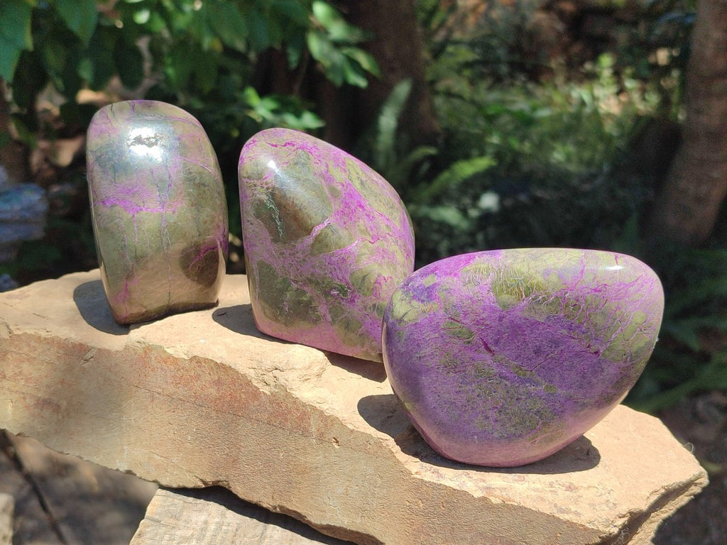 Polished Stichtite Standing Free Forms x 3 From Barberton, South Africa