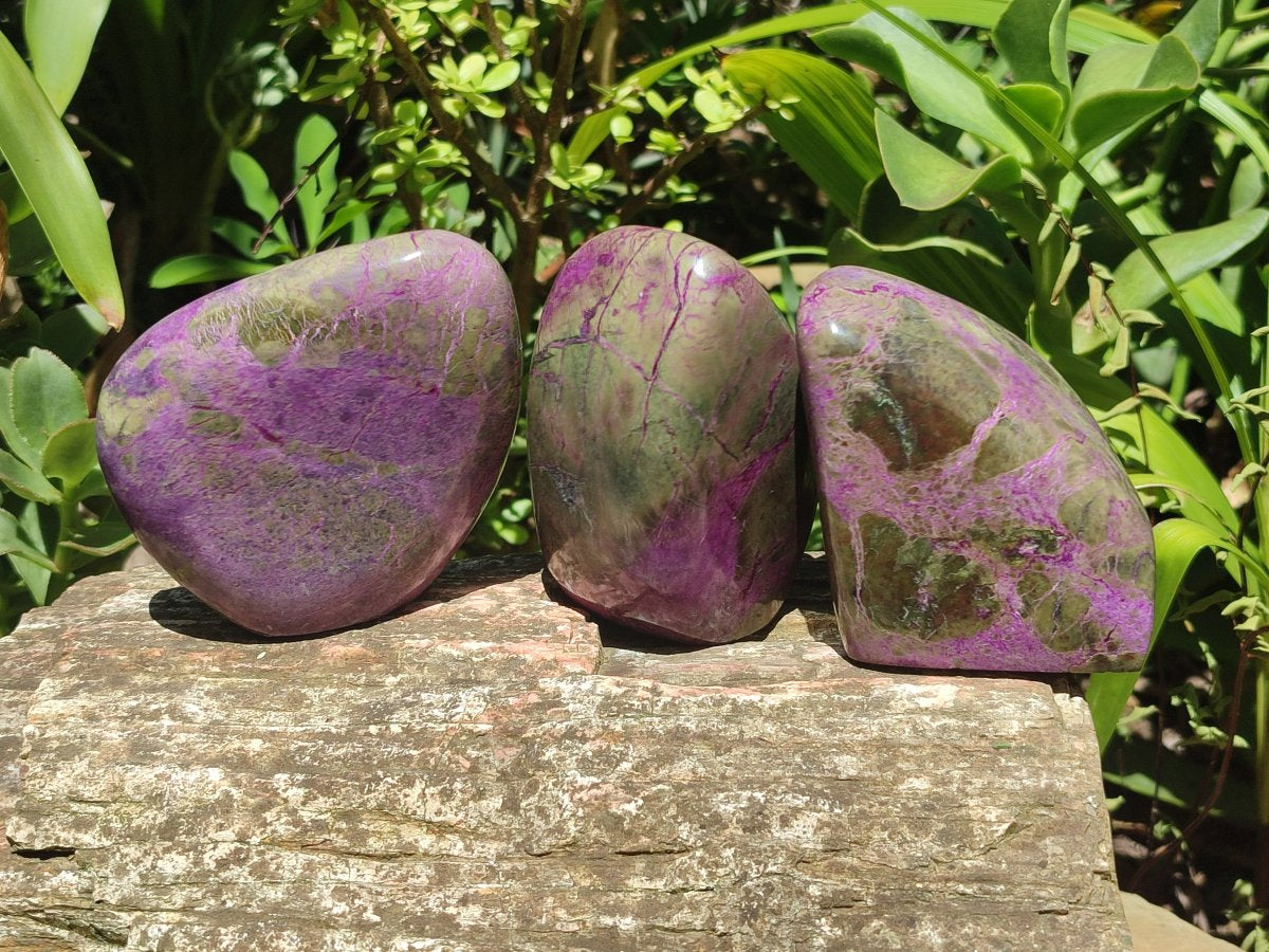 Polished Stichtite Standing Free Forms x 3 From Barberton, South Africa
