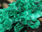 Natural Silky Malachite Specimens x 6 From Kasompe, Congo