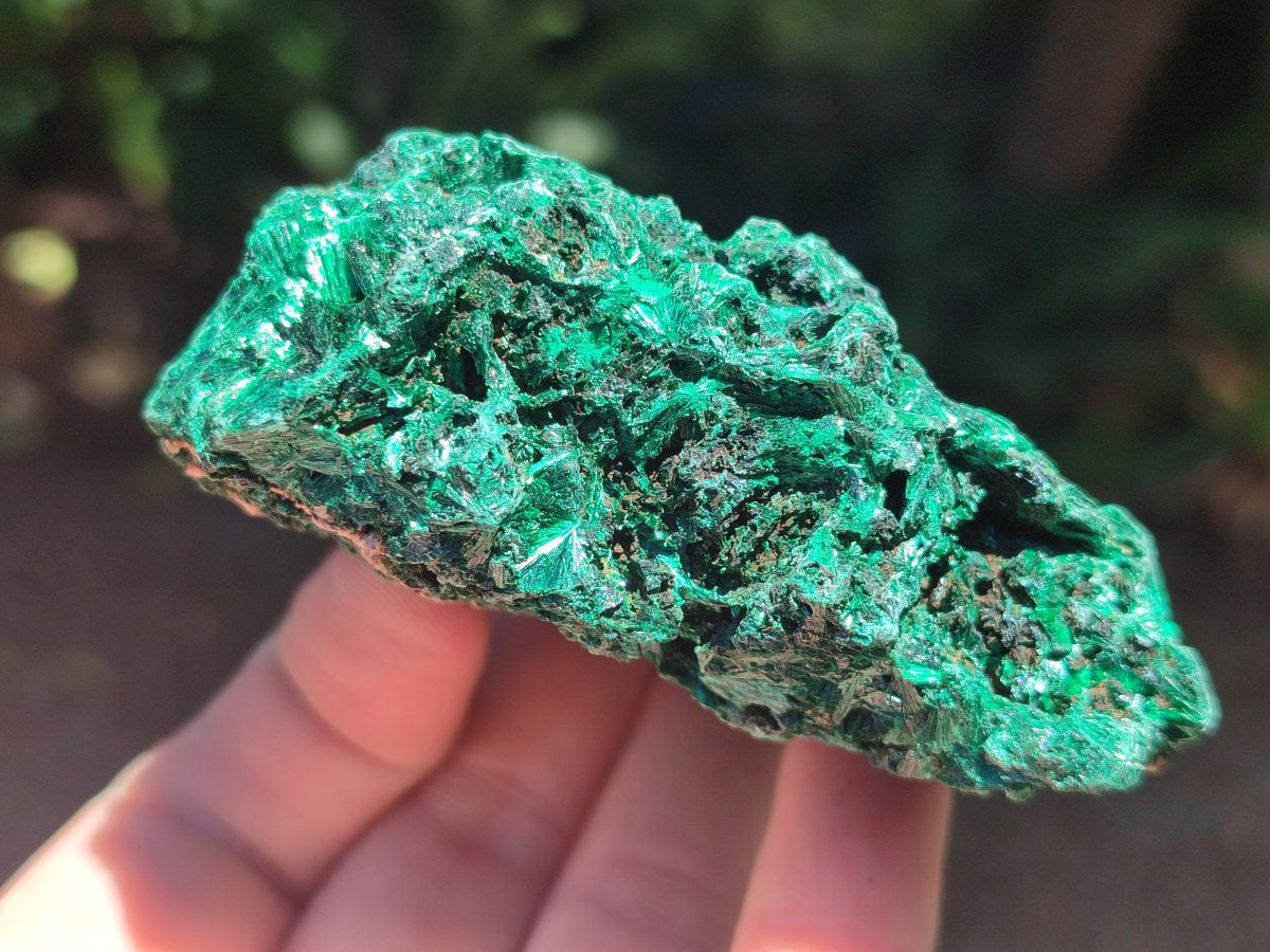 Natural Silky Malachite Specimens x 6 From Kasompe, Congo