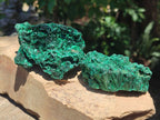 Natural Silky Malachite Specimens x 6 From Kasompe, Congo