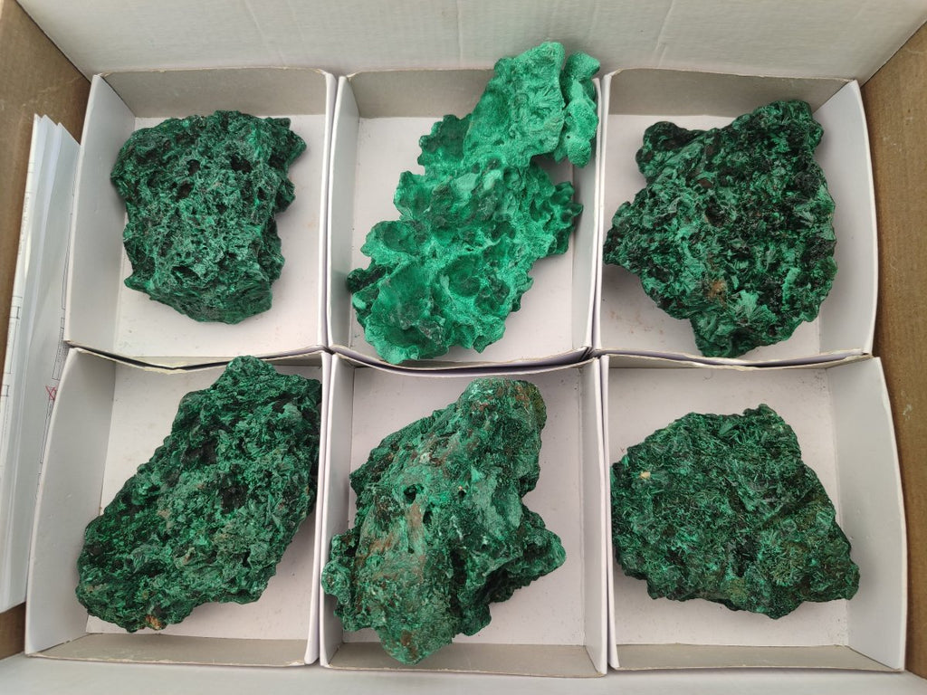 Natural Silky Malachite Specimens x 6 From Kasompe, Congo