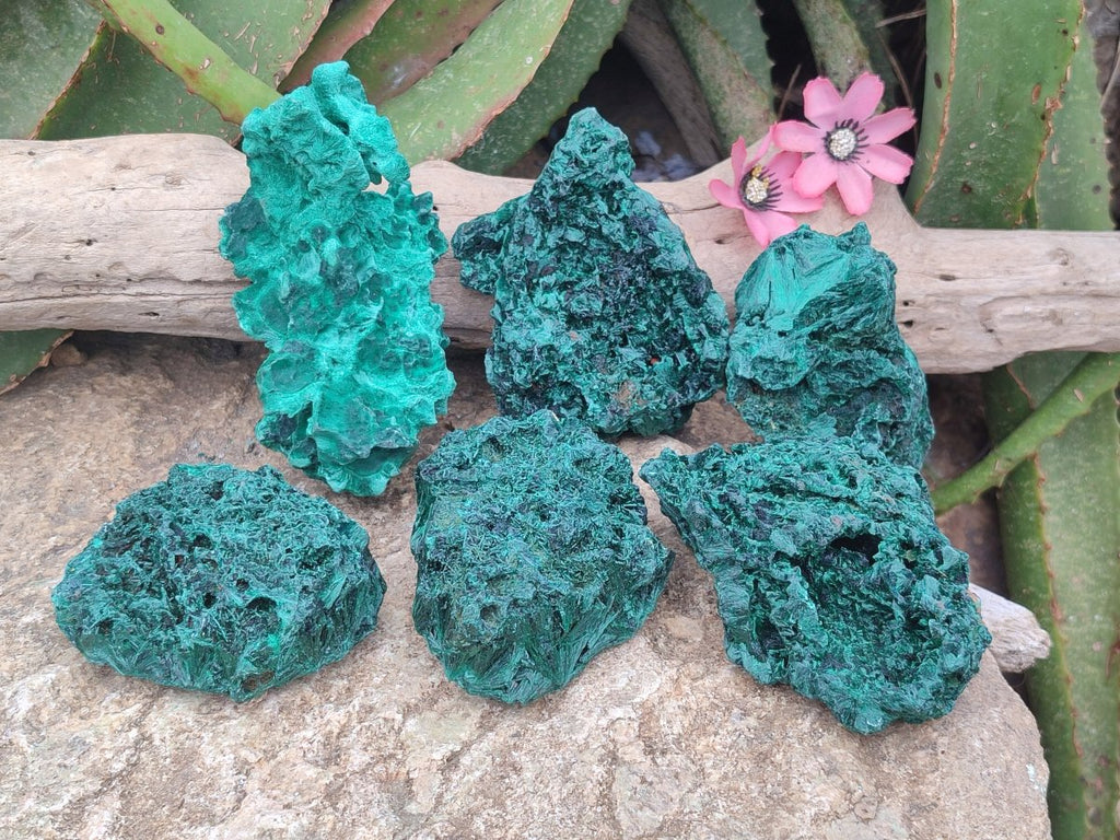 Natural Silky Malachite Specimens x 6 From Kasompe, Congo