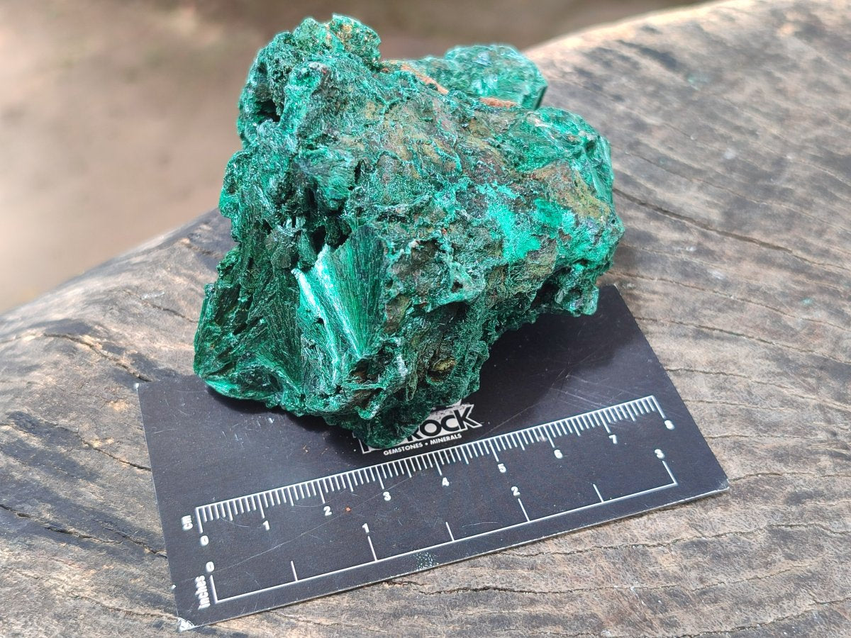 Natural Silky Malachite Specimens x 6 From Kasompe, Congo