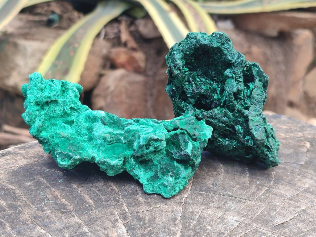 Natural Silky Malachite Specimens x 6 From Kasompe, Congo