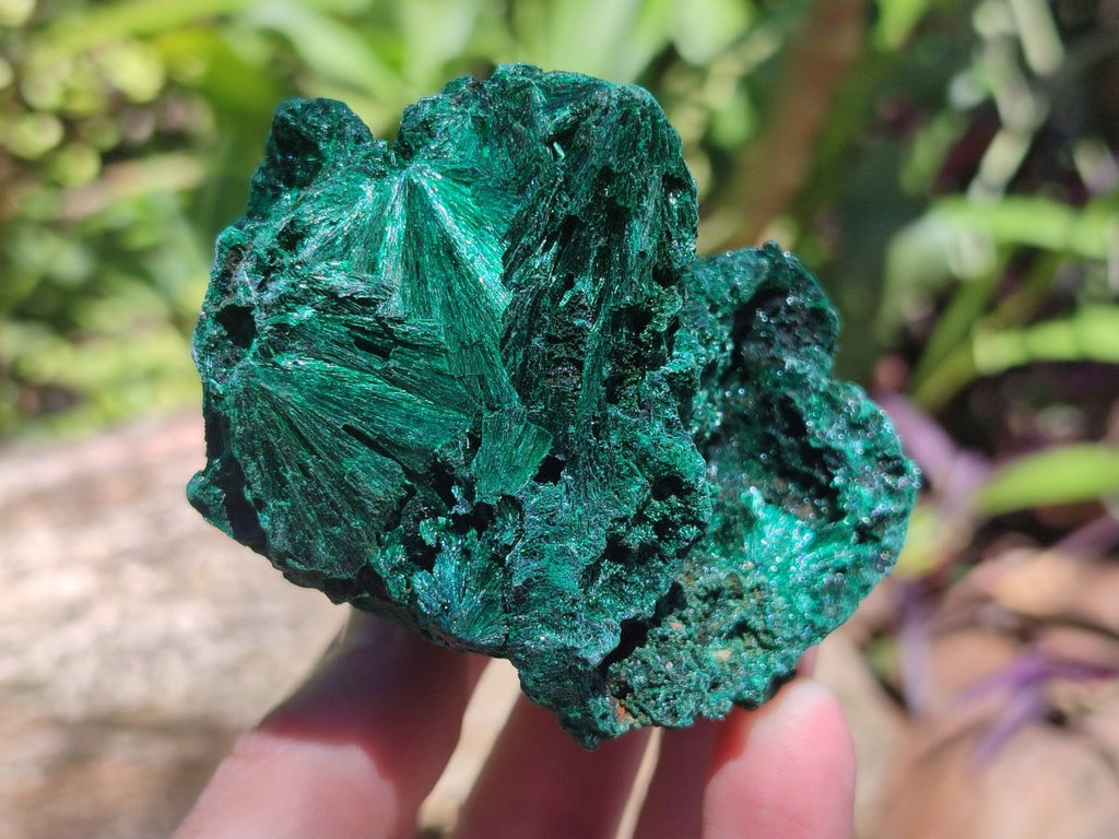 Natural Silky Malachite Specimens x 6 From Kasompe, Congo