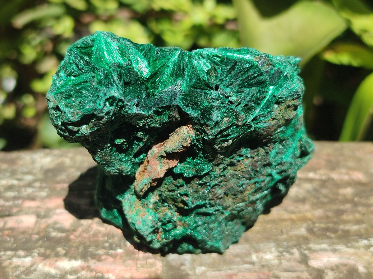 Natural Silky Malachite Specimens x 6 From Kasompe, Congo
